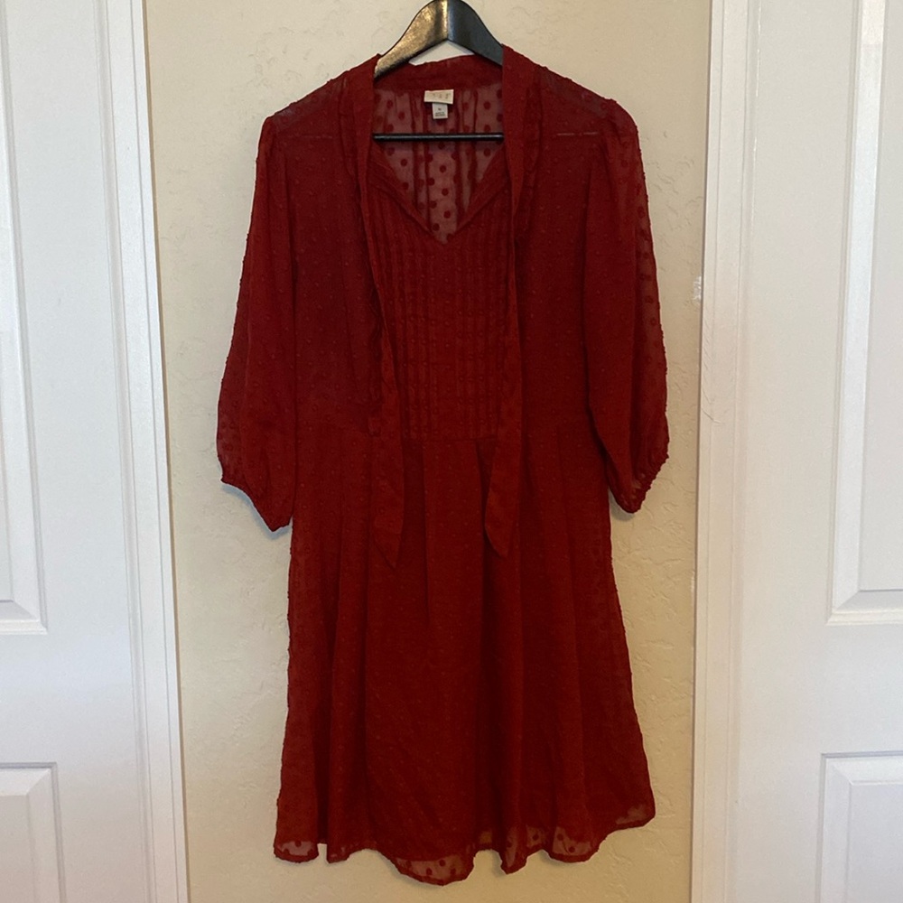 Perfect L/S Autumn Dress Rust Orange Sheer with Slip